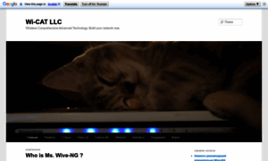 Wi-cat.ru thumbnail