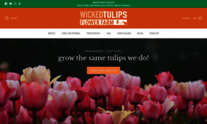 Wickedtulips.com thumbnail