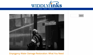 Widdlytinks.com thumbnail