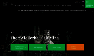 Wieliczka-saltmine.com thumbnail