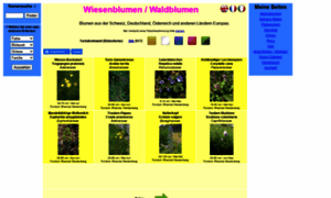 Wiesenblumen.ch thumbnail