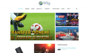 Wiiy.net thumbnail