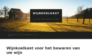 Wijnkoelkast-wijnkoelkasten.nl thumbnail