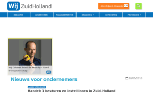 Wijzuidholland.nl thumbnail