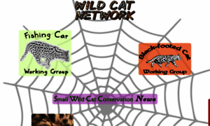 Wild-cat.org thumbnail