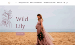 Wild-lily.co.za thumbnail