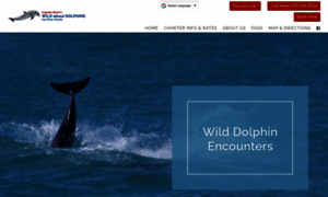 Wildaboutdolphins.com thumbnail