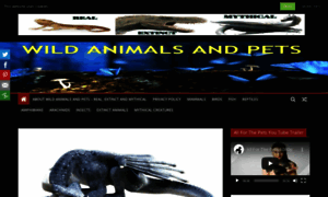 Wildanimalsandpets.com thumbnail