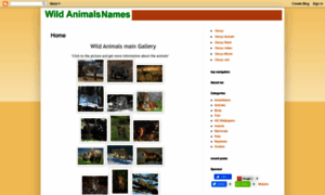 Wildanimalsnames.blogspot.com thumbnail