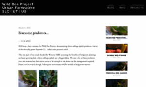 Wildbeeproject.com thumbnail