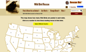 Wildbird.rescueme.org thumbnail