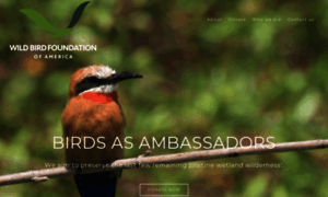 Wildbirdfoundation.org thumbnail
