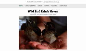 Wildbirdrehabhaven.org thumbnail