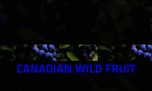 Wildblueberries.net thumbnail