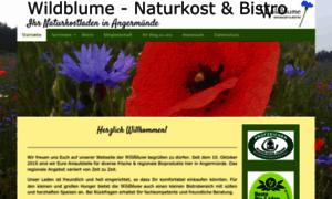 Wildblume-angermuende.de thumbnail