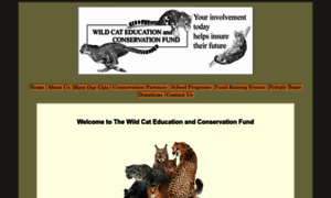 Wildcatfund.org thumbnail