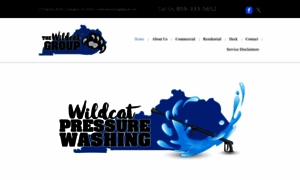 Wildcatwashing.com thumbnail