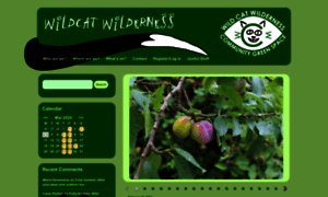 Wildcatwilderness.org thumbnail