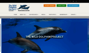 Wilddolphinproject.org thumbnail