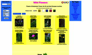 Wildestflowers.com thumbnail