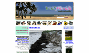 Wildflorida.com thumbnail