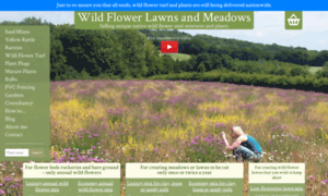 Wildflowerlawnsandmeadows.com thumbnail
