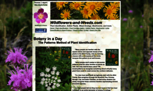 Wildflowers-and-weeds.com thumbnail