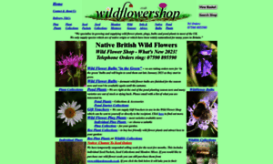 Wildflowershop.co.uk thumbnail