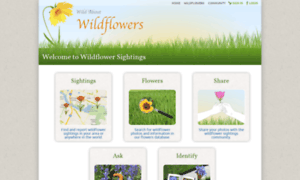 Wildflowersightings.org thumbnail