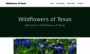 Wildflowersoftexas.com thumbnail