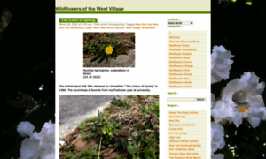 Wildflowersofthewestvillage.com thumbnail