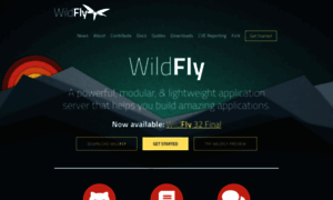 Wildfly.org thumbnail
