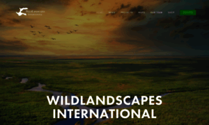 Wildlandscapes.squarespace.com thumbnail