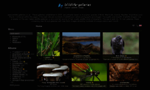 Wildlife-galleries.co.uk thumbnail