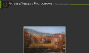 Wildlifebirdphotography.gr thumbnail