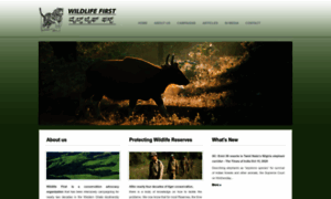 Wildlifefirst.info thumbnail