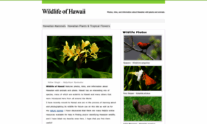 Wildlifeofhawaii.com thumbnail