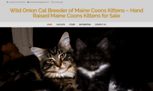 Wildonionmainecoons.com thumbnail