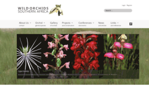 Wildorchids.co.za thumbnail