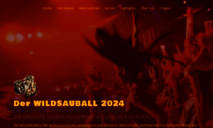 Wildsauball.de thumbnail