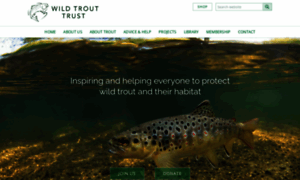 Wildtrout.org thumbnail