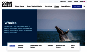 Wildwhales.org thumbnail