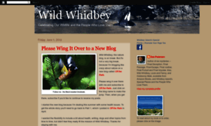 Wildwhidbey.blogspot.com thumbnail