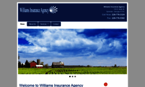Williamsinsurancega.com thumbnail