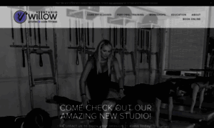 Willow-studio.com thumbnail