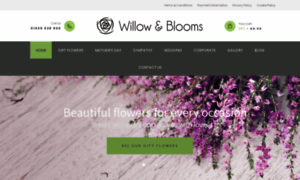 Willowandbloomsflowersnewbury.co.uk thumbnail