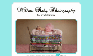 Willowbabyphotography.com thumbnail