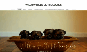 Willowhillsliltreasures.com thumbnail