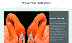 Willowpondphotography.zenfolio.com thumbnail