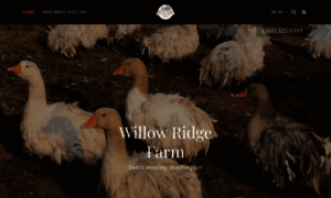 Willowridgefarmwa.com thumbnail